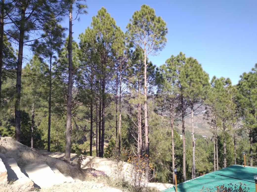 Nature Villaas Basa Homestay Pauri 외부 사진