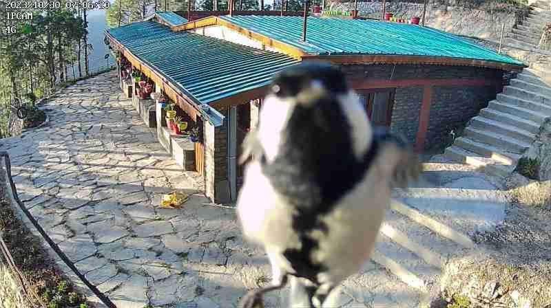 Nature Villaas Basa Homestay Pauri 외부 사진